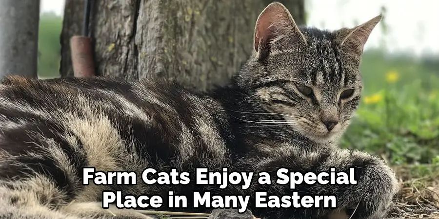 Farm Cats Enjoy a Special Place in Many Eastern