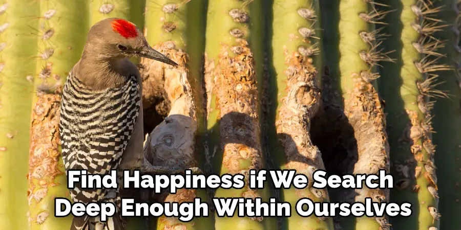 Find Happiness if We Search Deep Enough Within Ourselves