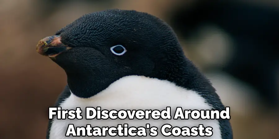 First Discovered Around Antarctica's Coasts