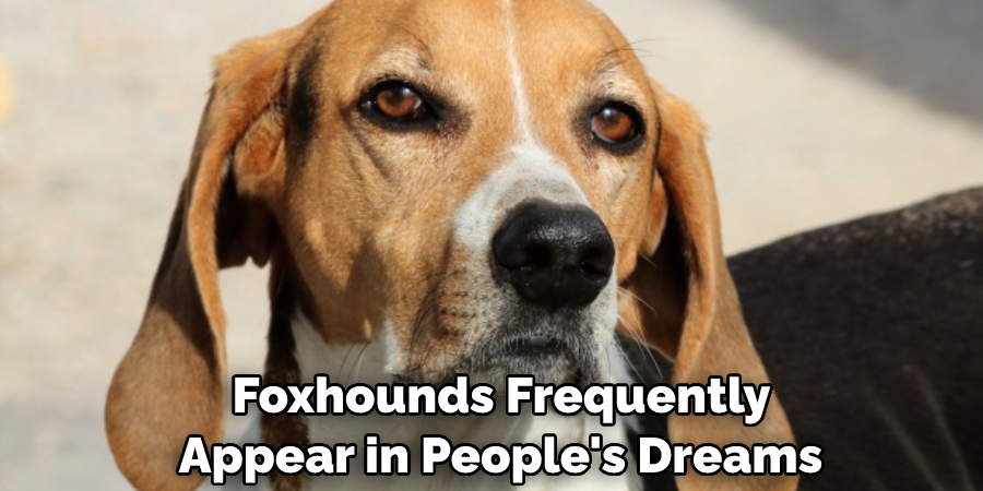 Foxhounds Frequently Appear in People's Dreams 