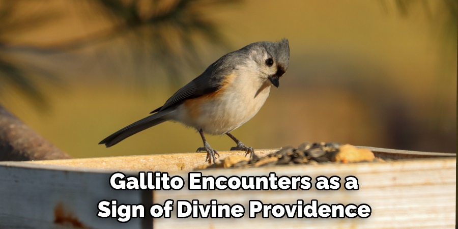  Gallito Encounters as a Sign of Divine Providence