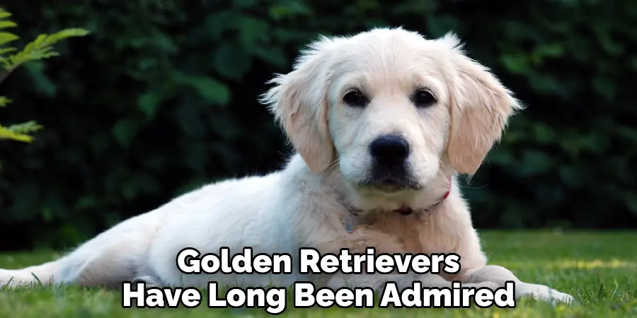 Golden Retrievers
Have Long Been Admired