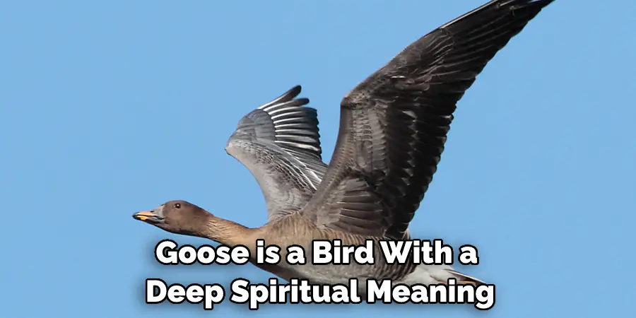 Goose is a Bird With a Deep Spiritual Meaning