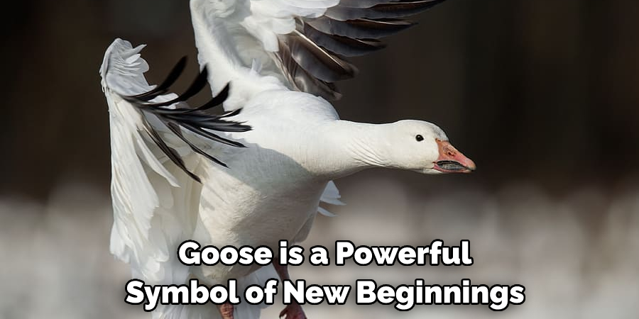  Goose is a Powerful Symbol of New Beginnings