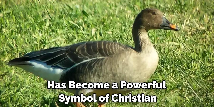 Has Become a Powerful Symbol of Christian