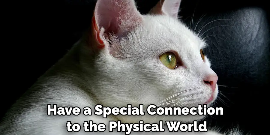 Have a Special Connection to the Physical World