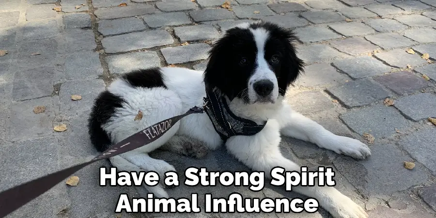 Have a Strong Spirit Animal Influence
