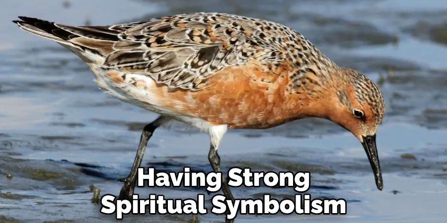 Having Strong Spiritual Symbolism