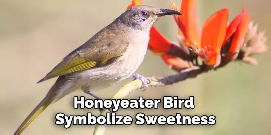 Honeyeater Bird Symbolizes Sweetness
