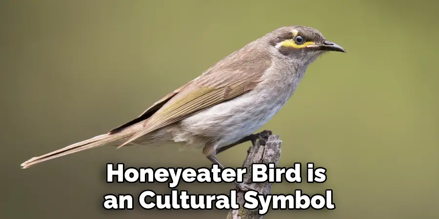 Honeyeater Bird is an Cultural Symbol