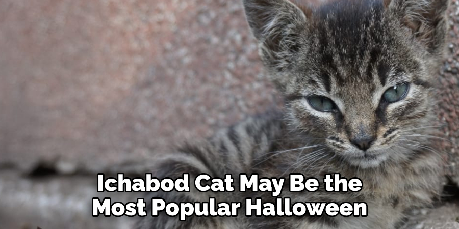 Ichabod Cat May Be the
Most Popular Halloween