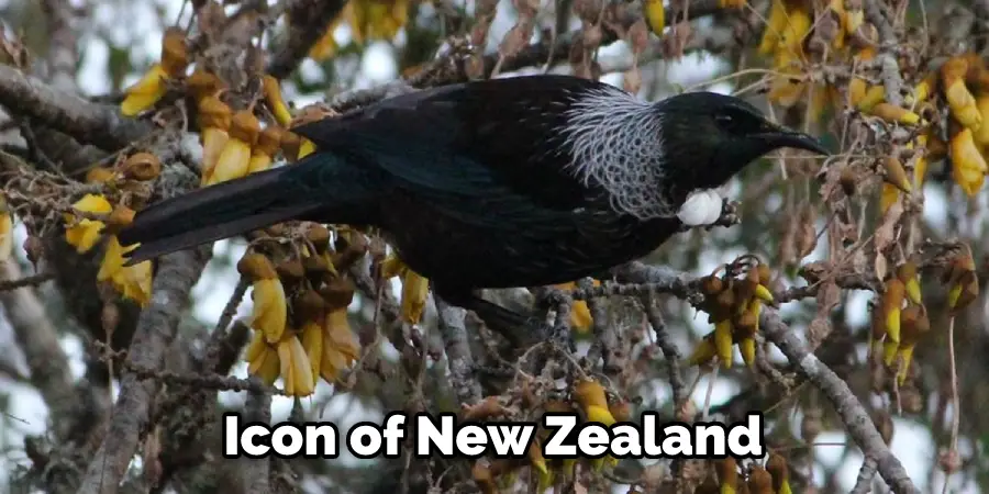 Icon of New Zealand