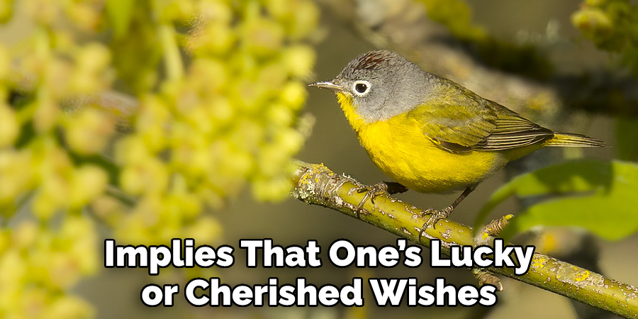 Implies That One’s Lucky or Cherished Wishes