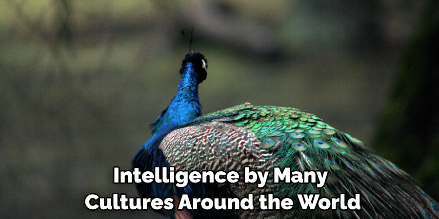 Intelligence by Many Cultures Around the World