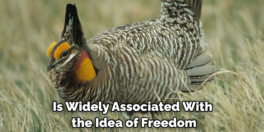 Is Widely Associated With the Idea of Freedom