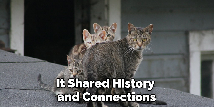 It Shared History and Connections