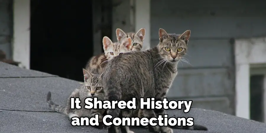 It Shared History and Connections