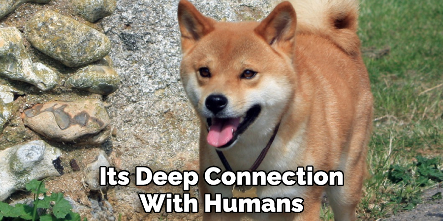 Its Deep Connection With Humans
