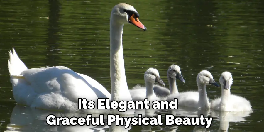 Its Elegant and Graceful Physical Beauty