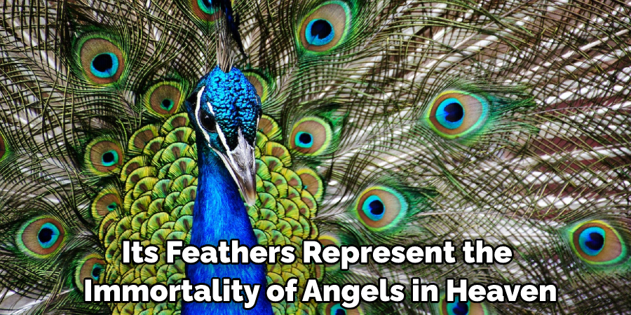 Its Feathers Represent the Immortality of Angels in Heaven
