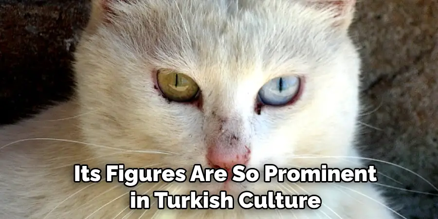  Its Figures Are So Prominent in Turkish Culture