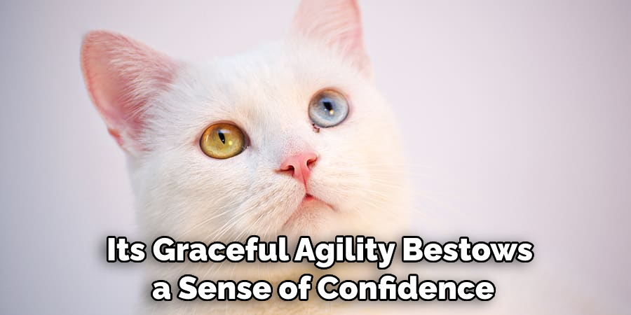 Its Graceful Agility Bestows a Sense of Confidence