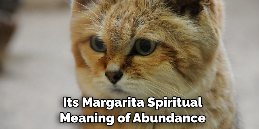  Its Margarita Spiritual Meaning of Abundance