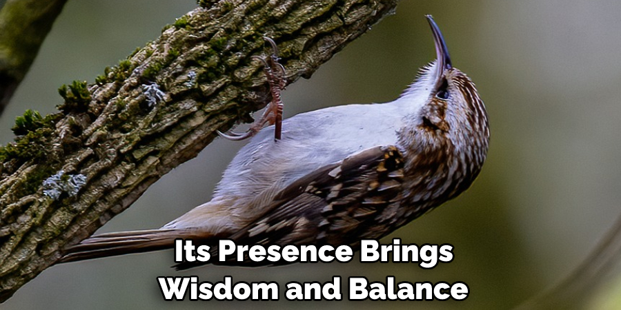  Its Presence Brings
 Wisdom and Balance