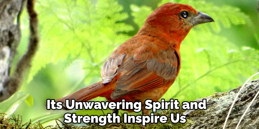  Its Unwavering Spirit and Strength Inspire Us 