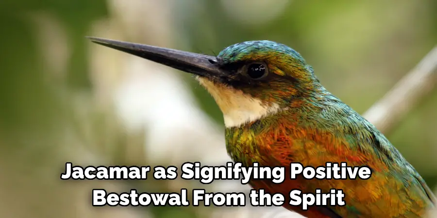 Jacamar as Signifying Positive Bestowal From the Spirit