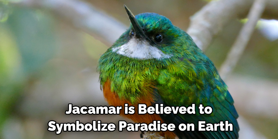 Jacamar is Believed to Symbolize Paradise on Earth