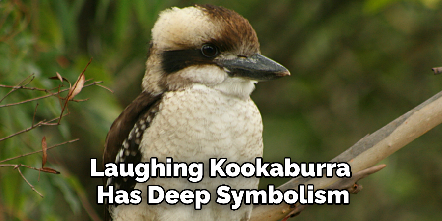 Laughing Kookaburra Has Deep Symbolism