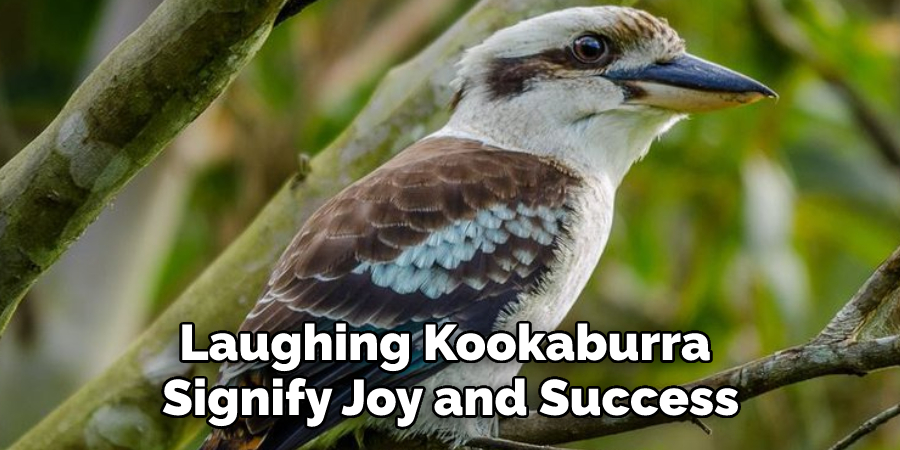 Laughing Kookaburra Signify Joy and Success