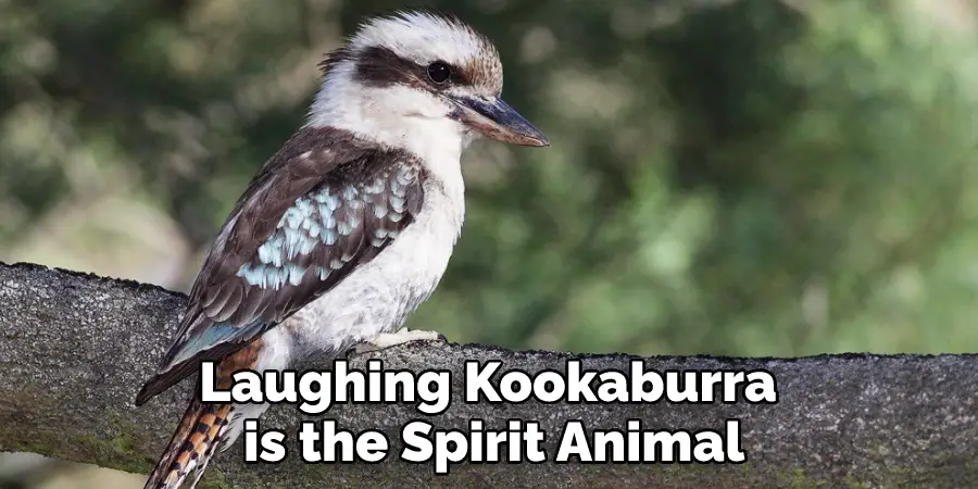 Laughing Kookaburra is the Spirit Animal