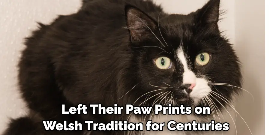  Left Their Paw Prints on Welsh Tradition for Centuries