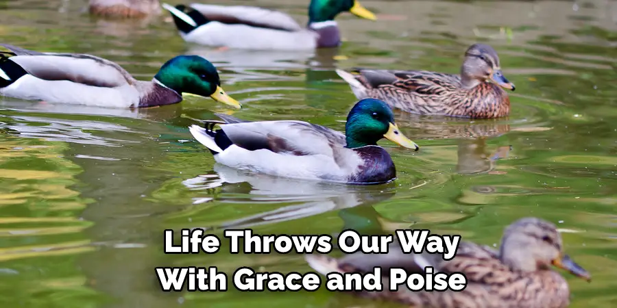  Life Throws Our Way With Grace and Poise