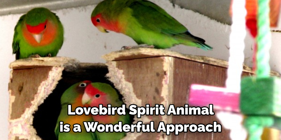  Lovebird Spirit Animal is a Wonderful Approach