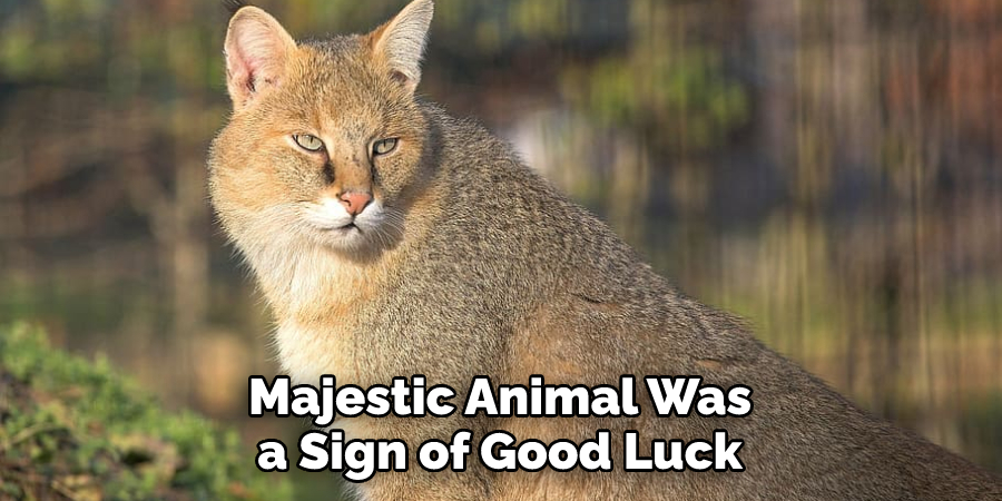 Majestic Animal Was a Sign of Good Luck