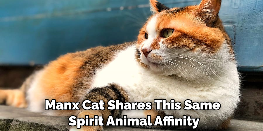 Manx Cat Shares This Same Spirit Animal Affinity