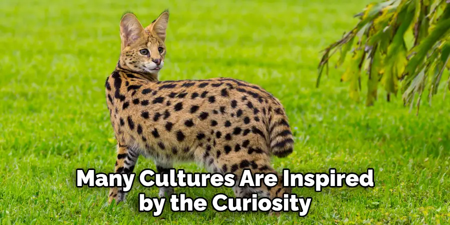 Many Cultures Are Inspired by the Curiosity