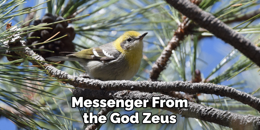 Messenger From the God Zeus