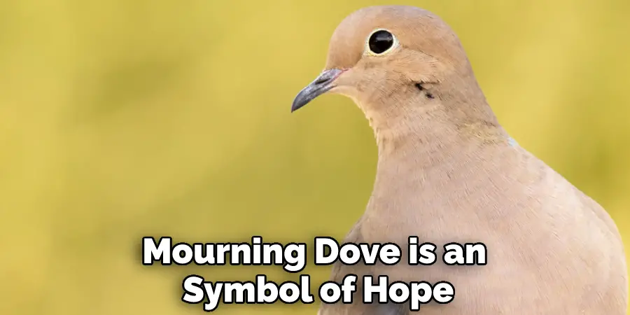 Mourning Dove is an Symbol of Hope