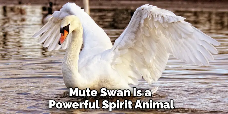 Mute Swan is a Powerful Spirit Animal