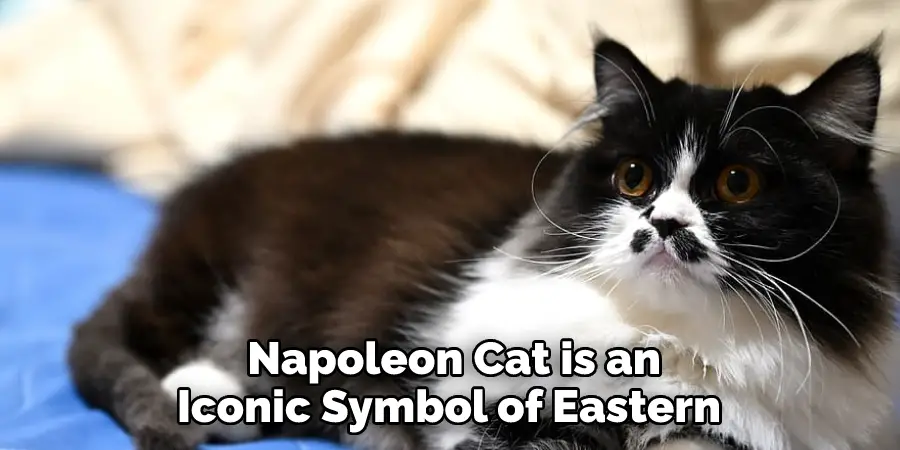 Napoleon Cat is an Iconic Symbol of Eastern