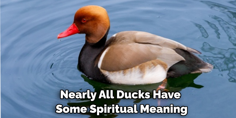 Nearly All Ducks Have Some Spiritual Meaning