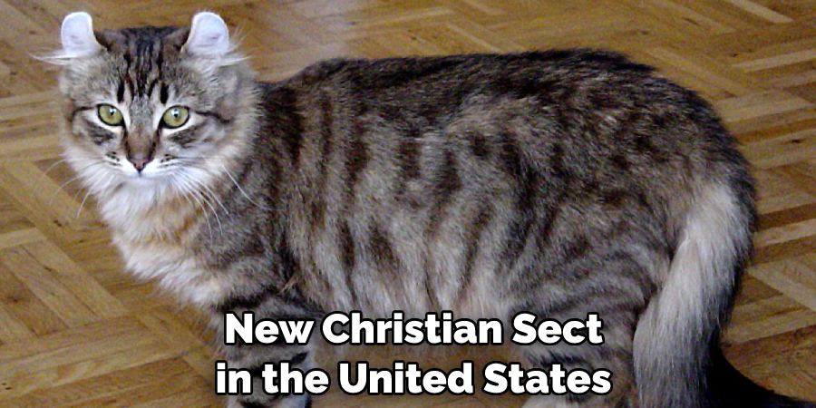  New Christian Sect in the United States
