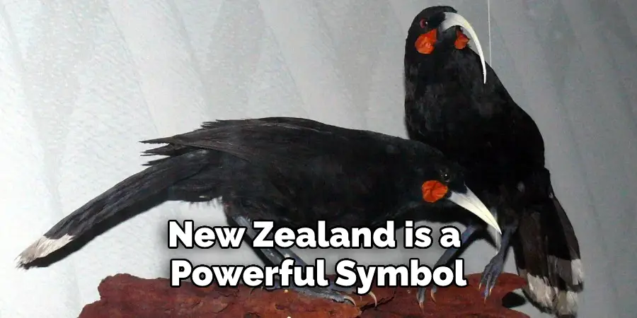 New Zealand is a Powerful Symbol