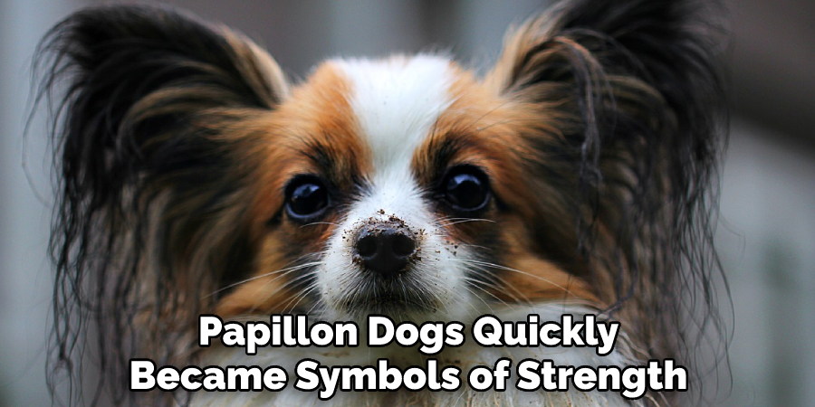 Papillon Dogs Quickly
Became Symbols of Strength