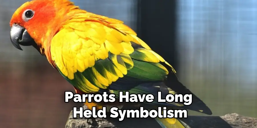 Parrots Have Long Held Symbolism