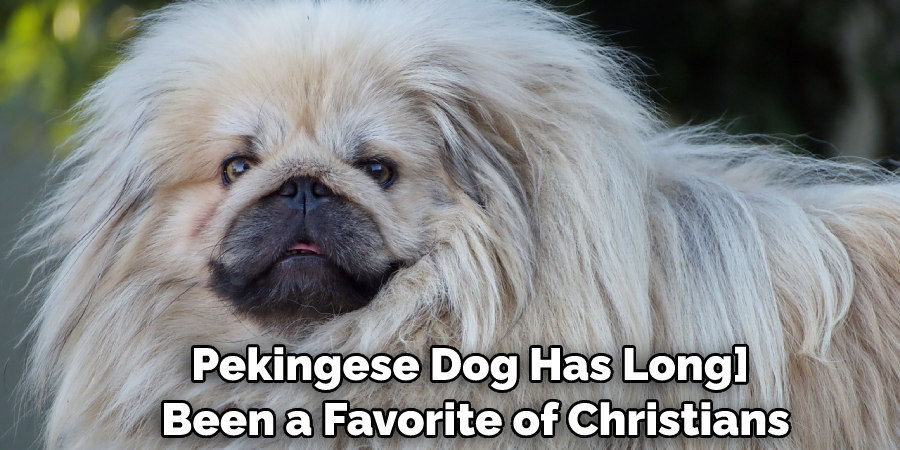Pekingese Dog Has Long Been a Favorite of Christians